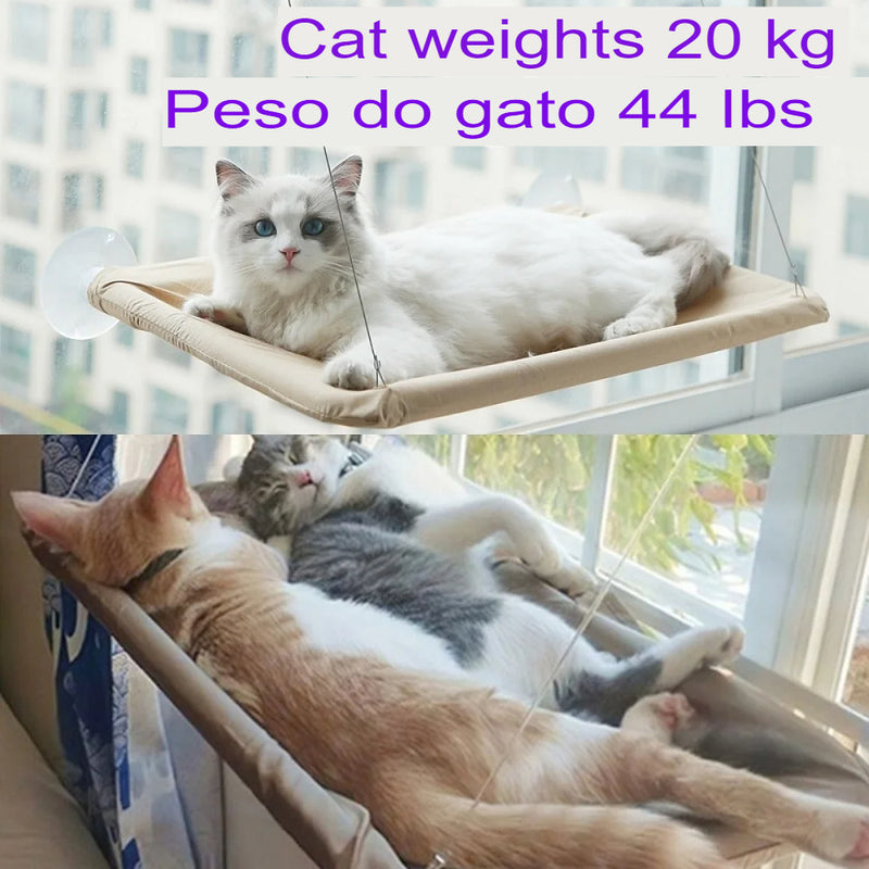 Rede para gatos